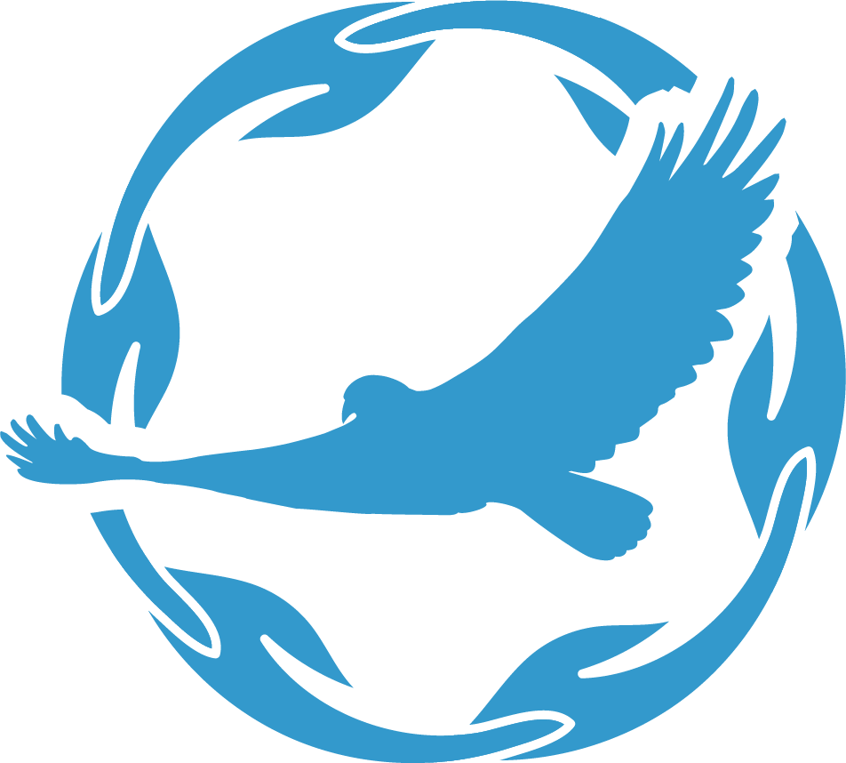 cca blue logo